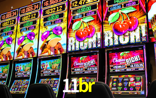 Premium Interface 11br